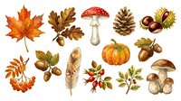 Autumn leaf, oak leaf, red mushroom, pine cone, chestnut, feather, pumpkin, acorn, rowan berry, rosehip, mushroom, fall foliage isolated on white background for seasonal design, autumn decoration, and harvest-themed projects.
