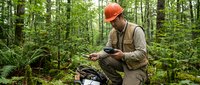 Forest researcher in orange hard hat examining moss samples with scientific equipment in lush green woodland environment for environmental study.