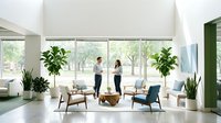 Modern office lobby with diverse business professionals discussing near large windows, featuring contemporary furniture and lush green plants for workspace design.