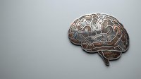 Wooden brain cutout with intricate neural pathways and anatomical details on neutral background for medical education and neuroscience concepts.
