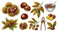 Chestnuts with spiky husks, leaves, and nutcracker tool isolated on white background. Suitable for food packaging, autumn recipes, culinary blogs, and seasonal design projects.