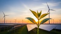 Young green plant sprouting with wind turbines and solar panels at sunset showcasing renewable energy and sustainable growth for environmental projects.
