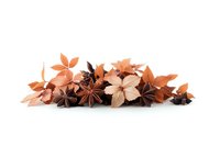 Dried autumn leaves and star anise spices arranged in decorative composition on white background, isolated botanical elements for seasonal design projects.