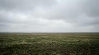 Vast empty field under dramatic overcast sky with moody atmospheric lighting creating minimalist landscape composition for nature backgrounds.