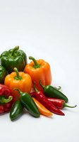 Fresh green bell peppers, orange and red sweet peppers with hot chili peppers arranged on white background for cooking, recipe, nutrition and healthy eating content.