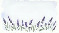 Watercolor lavender flowers border with purple blooms and green stems on white background for botanical design projects and natural decoration.