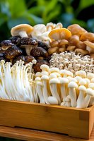 Fresh assorted edible mushrooms including enoki, shiitake, oyster and other gourmet varieties displayed in wooden box against green natural background.