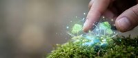 Hand protecting glowing digital trees on moss surface symbolizing environmental conservation and sustainable technology solutions for nature protection.