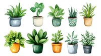 Watercolor collection of potted houseplants with various green foliage including succulents, snake plants, and tropical varieties in decorative containers.