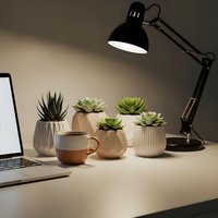 Modern home office desk with succulent plants in decorative pots, adjustable black desk lamp, laptop and coffee mug creating cozy workspace atmosphere.