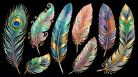 Colorful decorative feathers set with ornate patterns and gold accents, isolated on transparent background. Great for stickers, t-shirt design, sublimation, and print on demand.