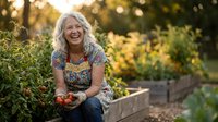 Happy mature Caucasian woman gardening with tomatoes in raised bed during golden hour sunset light for healthy lifestyle and organic farming concepts.