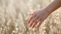 Hand gently touching golden oat field in warm sunlight. Agricultural harvest concept with natural grain crops and farming lifestyle connection.