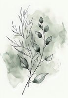Delicate botanical line art branch with leaves on soft sage green watercolor background, minimalist nature illustration for wall art and stationery design.
