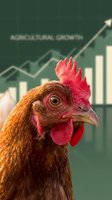 Rooster with vibrant red comb and wattle against green background featuring upward trending growth chart and bar graph, symbolizing agricultural success and poultry farming business expansion.