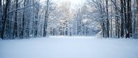 Snow-covered forest path through winter woodland with bare trees and white landscape for seasonal nature backgrounds and outdoor recreation themes.