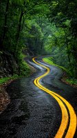 Winding mountain road with bright yellow lines curves through lush green forest canopy on rainy day, creating dramatic contrast between wet asphalt and vibrant markings.