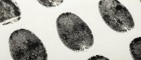 Fingerprints scattered on white background, forensic evidence pattern for criminal investigation, law enforcement, security, and identification purposes.
