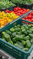 Fresh colorful bell peppers in plastic crates at farmers market or grocery store. Green, red, yellow and orange sweet peppers displayed for retail sale.