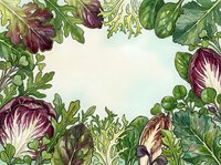 Watercolor frame featuring fresh salad greens and radicchio leaves arranged on cream background, isolated design element for culinary, food, and organic produce marketing materials.