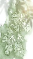 Soft green watercolor botanical leaves with organic flowing shapes and natural textures for modern design projects and artistic backgrounds.