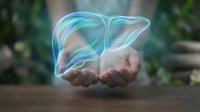 Holographic liver organ floating above cupped hands representing healthcare, medical technology and organ protection concepts for wellness campaigns.