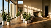 Modern minimalist living room interior with large windows, natural sunlight, snake plants in white pots, wooden floors, and contemporary furniture design.