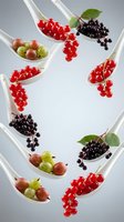 Fresh red and black currants with gooseberries arranged on white spoons for culinary presentation and gourmet cooking concepts.