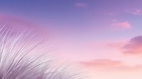 Tall grass swaying against dreamy purple pink sunset sky with soft clouds creating peaceful natural landscape scene for relaxation and meditation backgrounds.