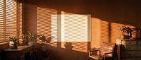 Warm sunlight streams through wooden blinds casting linear shadows across a cozy interior space with potted plants and furniture, ideal for home decor and interior design projects.