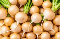 Fresh harvested round white turnips with bright green stems arranged in rows, macro food photography showing natural organic vegetable texture and pattern.