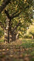 Mature fruit tree with abundant golden harvest hanging from branches in sunlit orchard setting, fallen produce scattered on ground, ideal for agriculture and farming concepts.