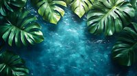 Lush monstera leaves frame dark turquoise water background creating tropical mood with copy space for text overlay, nature inspired design element.