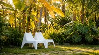 Two white modern chairs positioned in lush tropical garden setting with palm trees and golden sunlight filtering through dense green foliage creating peaceful outdoor space.