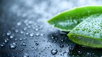 Fresh green leaf with water droplets on dark wet surface after rain shower creating natural spa and wellness atmosphere for organic skincare concepts.
