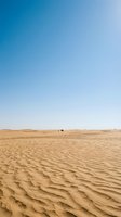 Vast desert landscape with rippled sand dunes under clear blue sky, featuring a distant camel caravan for travel and adventure themes.