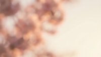 Soft blurred bokeh background with warm peachy and mauve tones, ideal for overlays, presentations, and design projects requiring gentle, dreamy aesthetic backdrops.