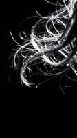 Dynamic flowing hair strands in motion against black background creating abstract artistic pattern for beauty and fashion design concepts.