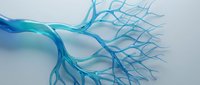Abstract blue branching network resembling neural pathways or blood vessels on white background for medical and scientific design projects.