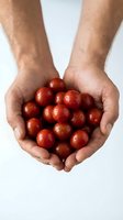 Fresh red cranberries held in cupped hands on white background for healthy eating and nutrition concepts.