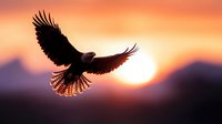 Majestic eagle soaring with outstretched wings against vibrant orange sunset sky over mountain silhouettes. Powerful bird of prey in flight during golden hour.