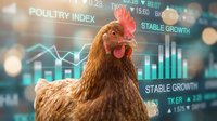 Rooster with financial data overlay showing poultry index charts and market growth indicators for agricultural business and livestock trading concepts.