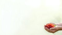 Young adult hands holding fresh red currants against soft blurred background, suitable for food, health, nutrition, and organic produce marketing materials.