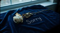 Dried white rose on deep blue velvet fabric with the word Sorry written in rhinestones, symbolizing apology and forgiveness.