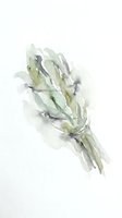 Watercolor painting of fresh green beans bundle tied together, isolated on white background for culinary design projects and food illustrations.