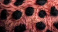 Pink and black spotted fur pattern creates abstract animal print texture with soft fluffy appearance. Seamless background for fashion and design projects.