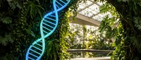 Glowing blue DNA double helix structure floating in lush green botanical garden environment with natural lighting and foliage background.