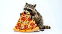 Adorable raccoon holding large pizza slice with pepperoni and mushrooms on white background. Funny animal eating junk food concept for humor designs.