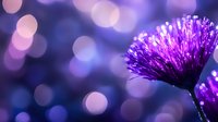 Purple chive flower bloom against blurred bokeh background in blue and pink tones, macro photography capturing delicate petals and dreamy atmosphere.