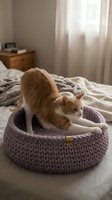Ginger and white cat stretching in a cozy knitted pet bed on a bedroom mattress with soft linens and natural window light for home decor and pet lifestyle content.